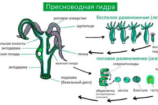 Кракен ссылка kraken