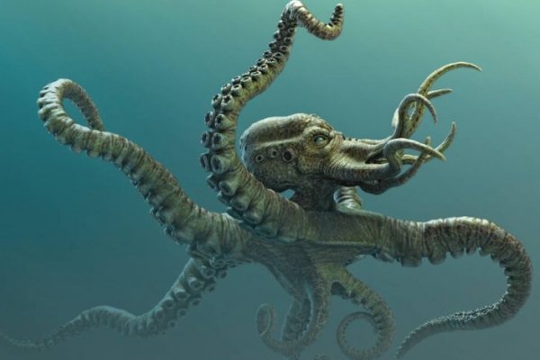 Kraken это