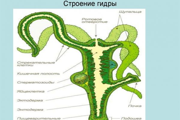 Как заказать на кракене